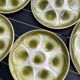 6 plates and dish in Ceramics, Moulin des loups