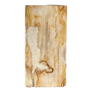Table d'appoint en bois pétrifié
