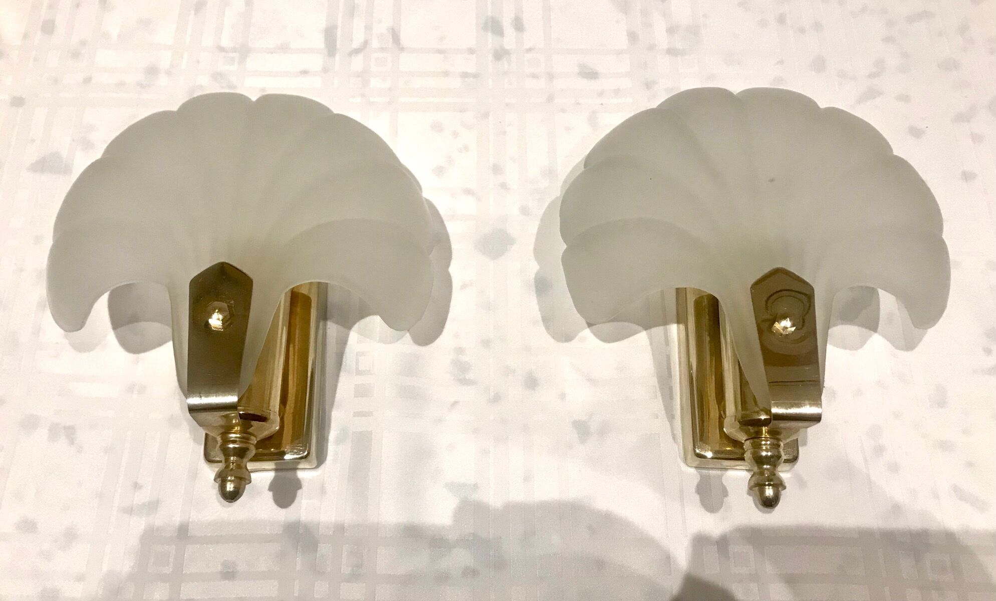 Pair of shell sconces