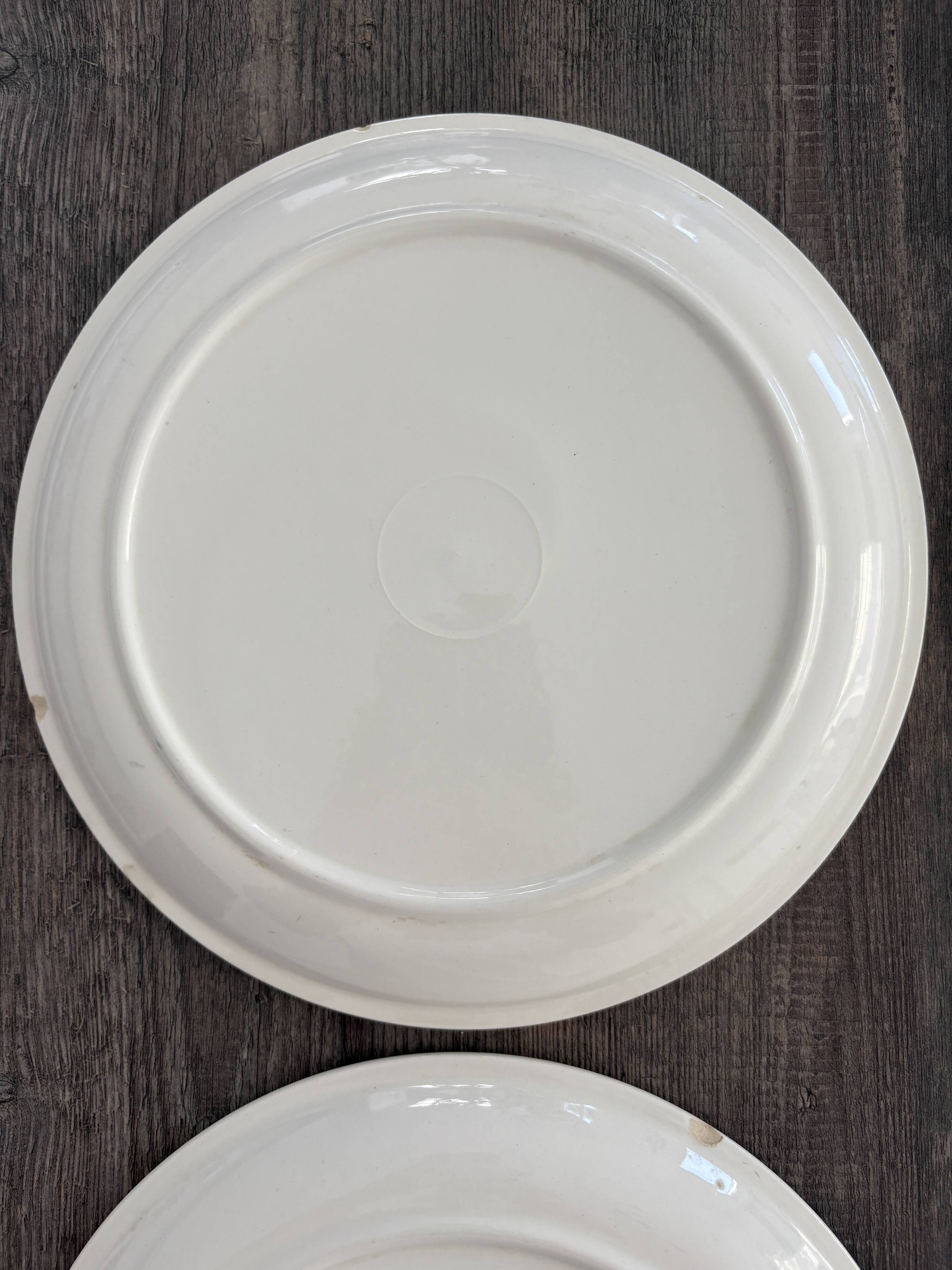 4 Delft Boch dinner plates