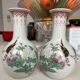 Pair of Chinese porcelain vases