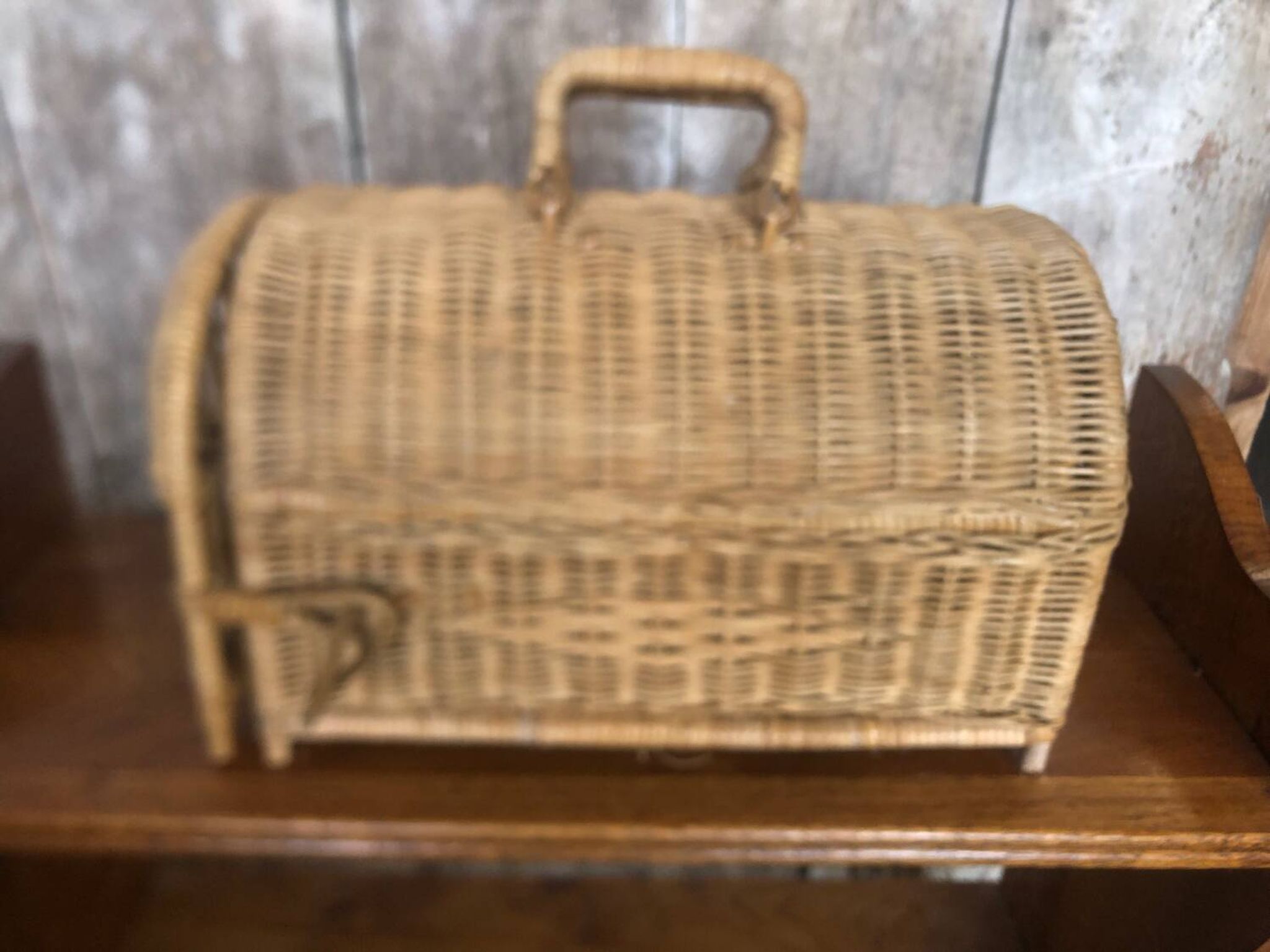 Old basket transport trunk rattan cage puppies kittens animals vintage