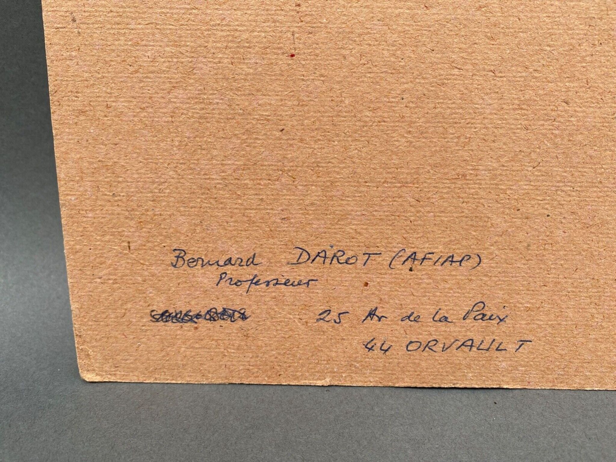 Photo argentique Bernard Darot Coulée de soleil dans les feuillus XXe