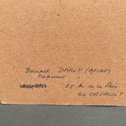 Photo argentique Bernard Darot Coulée de soleil dans les feuillus XXe