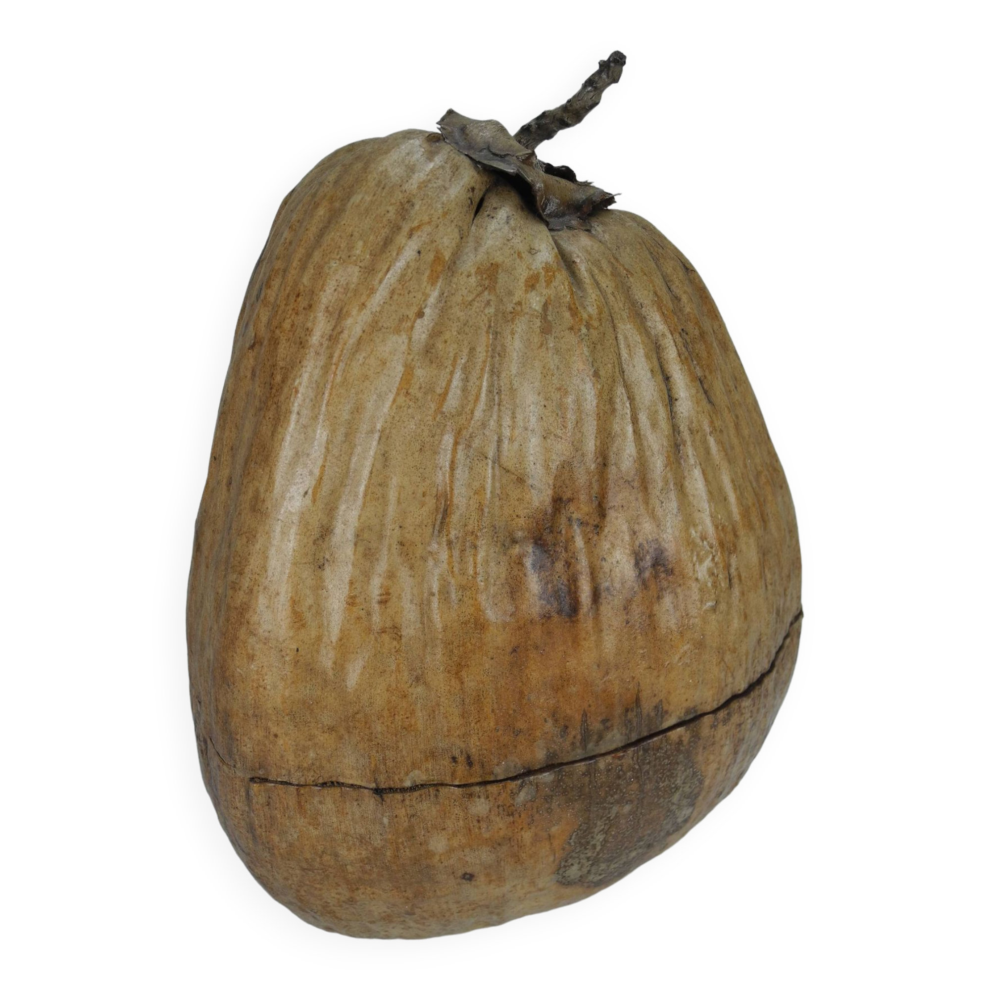 Old ice bucket coconut deco vintage