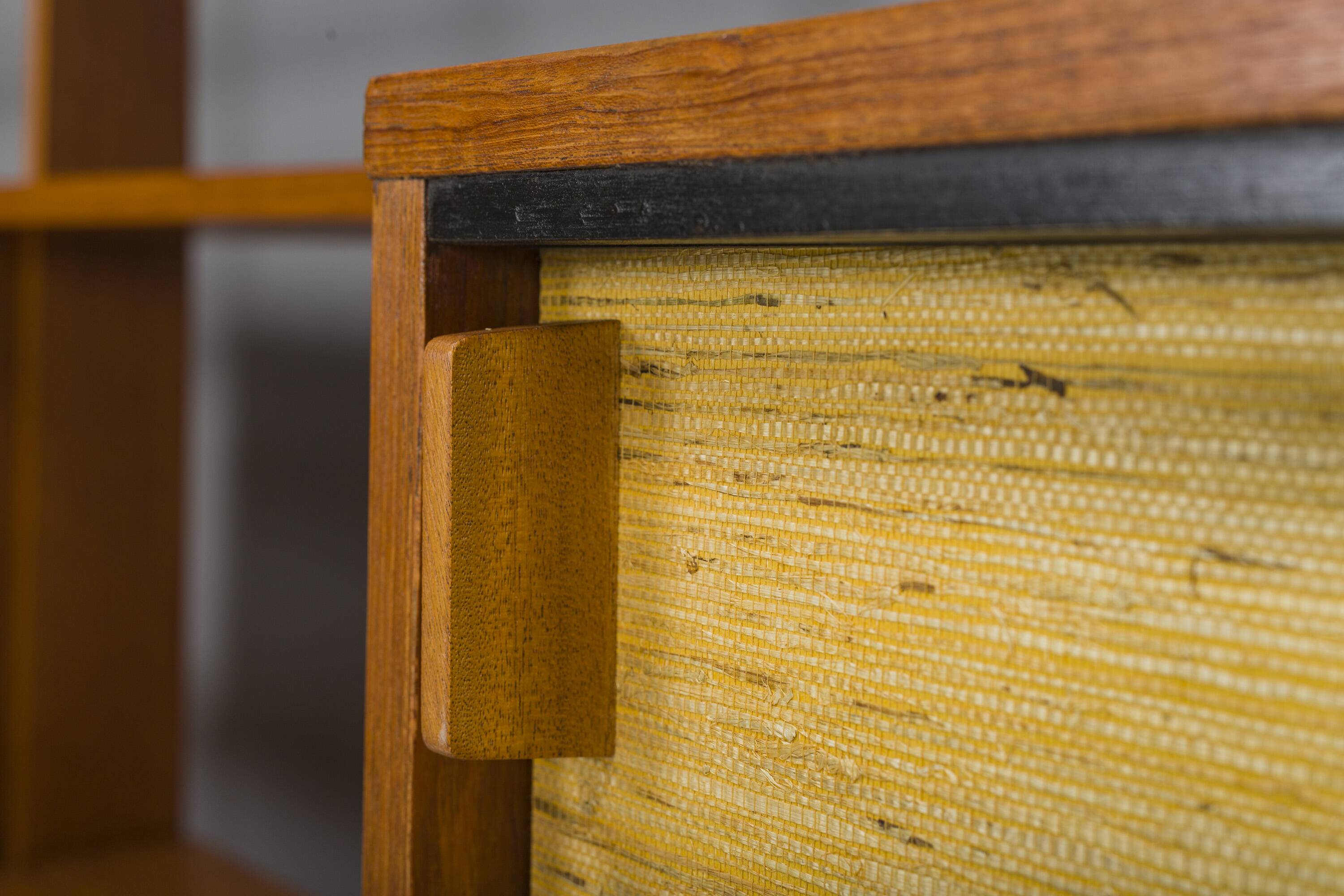 Mid-Century Shelf System by Dieter Wäckerlin for Behr, 1955