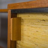 Mid-Century Shelf System by Dieter Wäckerlin for Behr, 1955