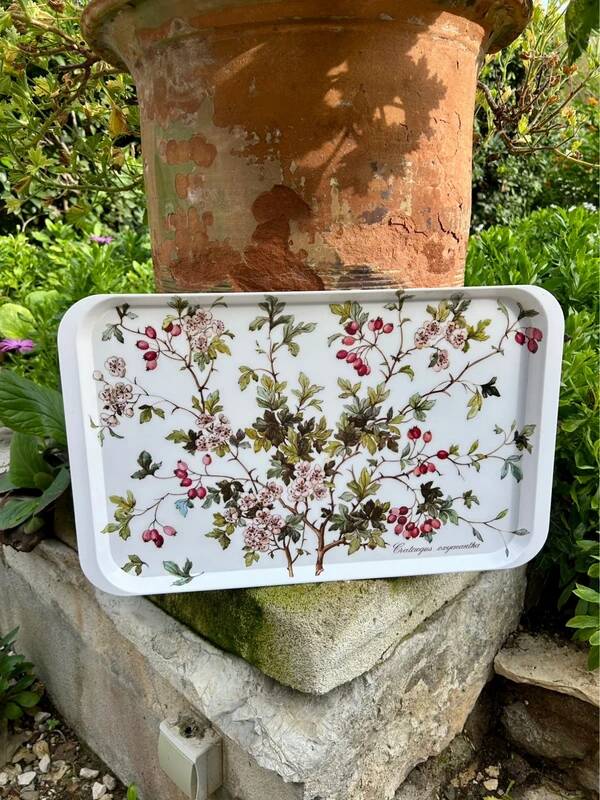 Plateau Villeroy and Boch Botanic