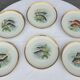 Set 12 plates porcelain fish edge laurel gold Bernardaud