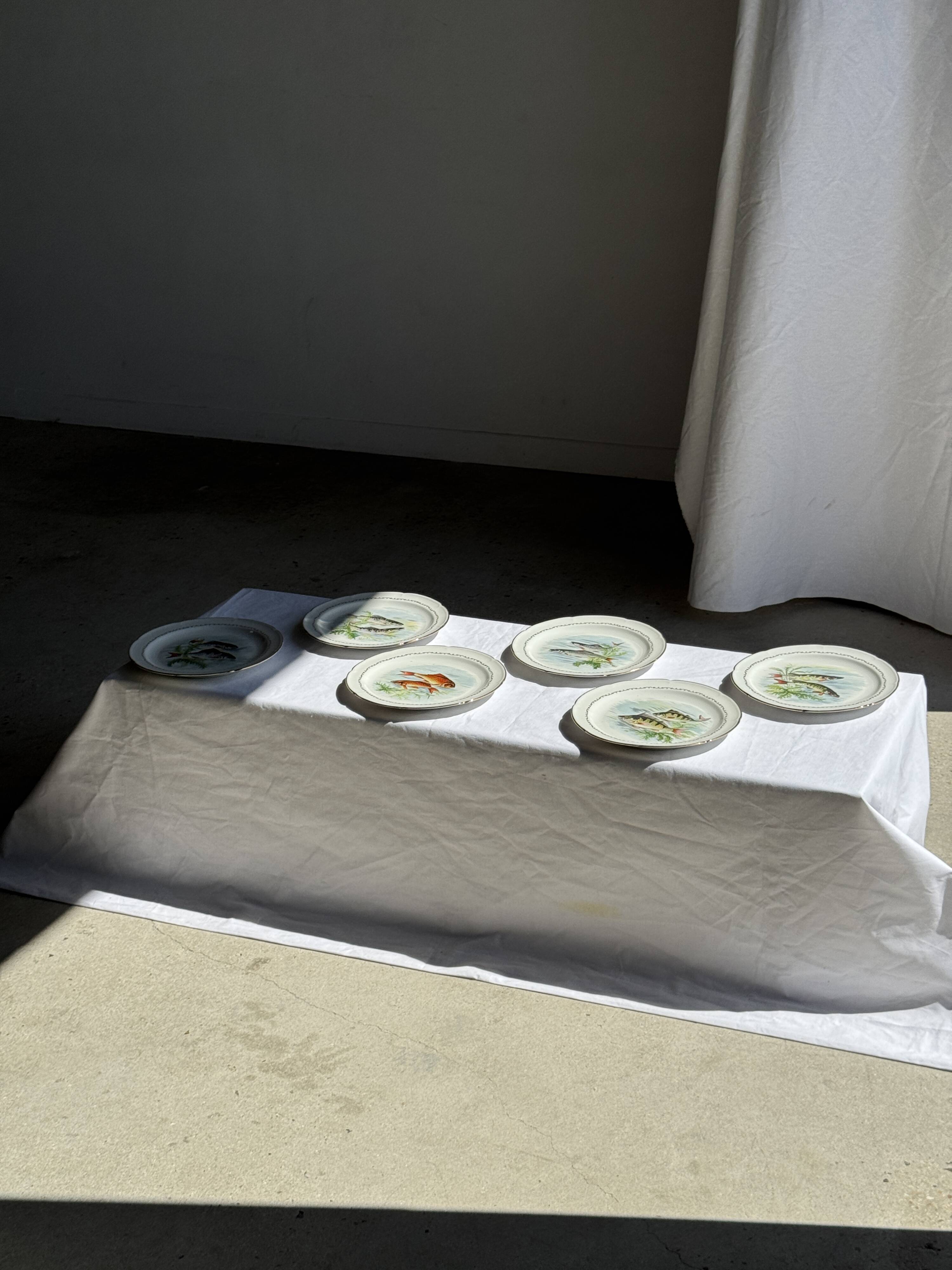 Set of 6 vintage Limoges porcelain plates with fish design.