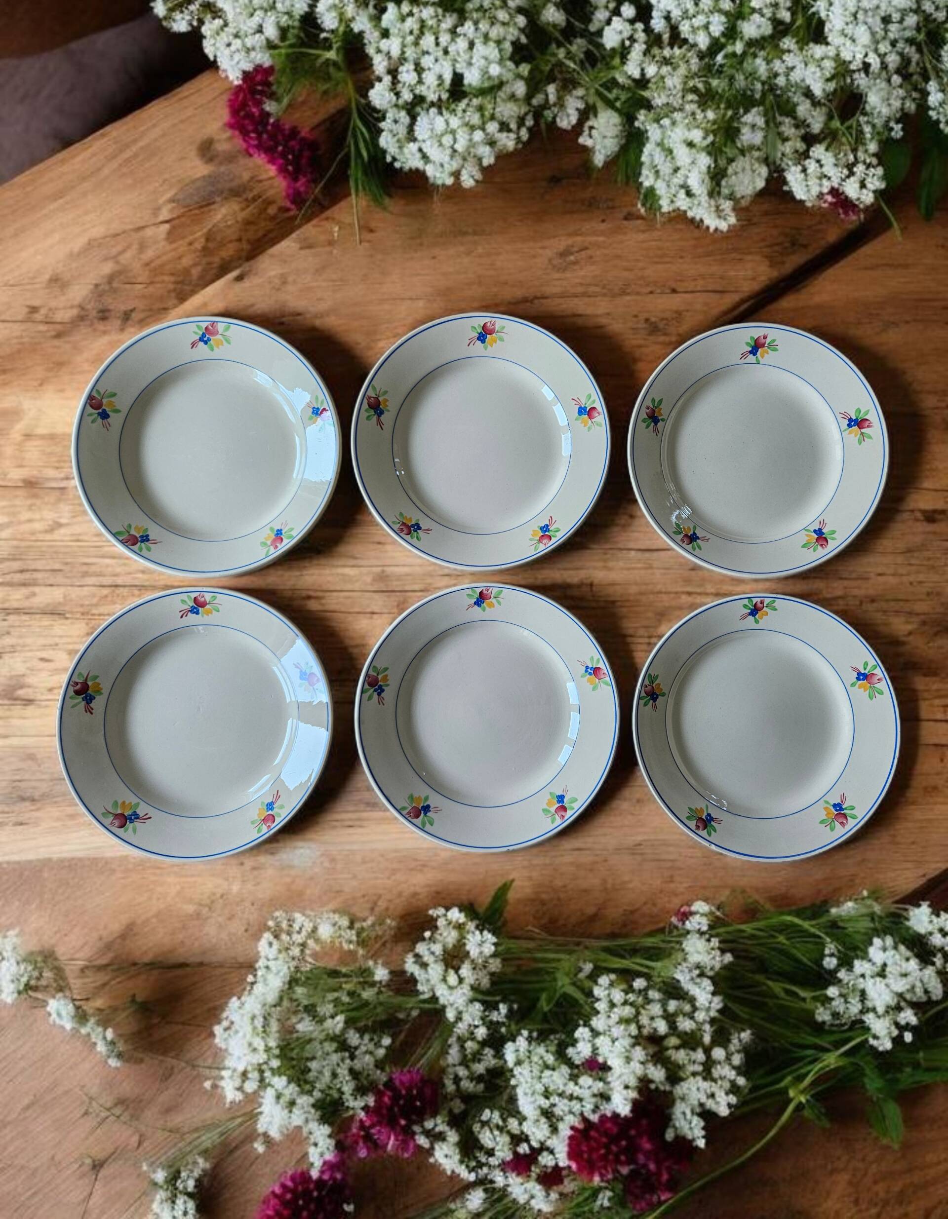 6 antique flat plates in Gien earthenware