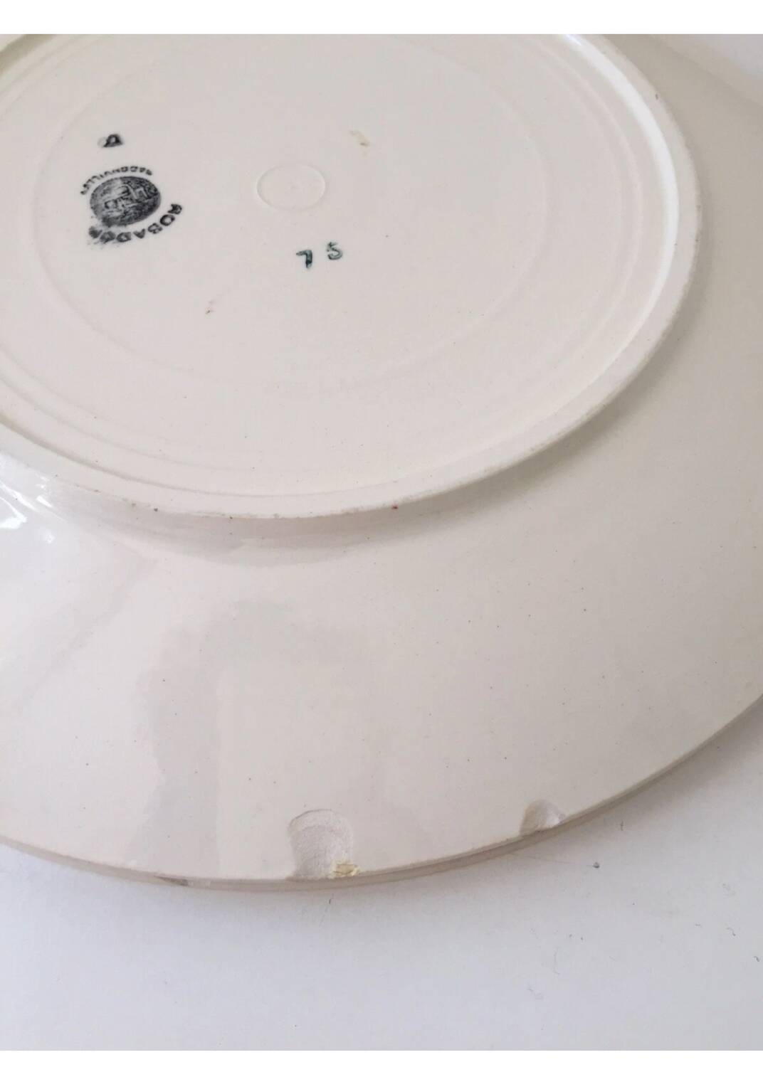 Badonviller Rosador flower dinner plates