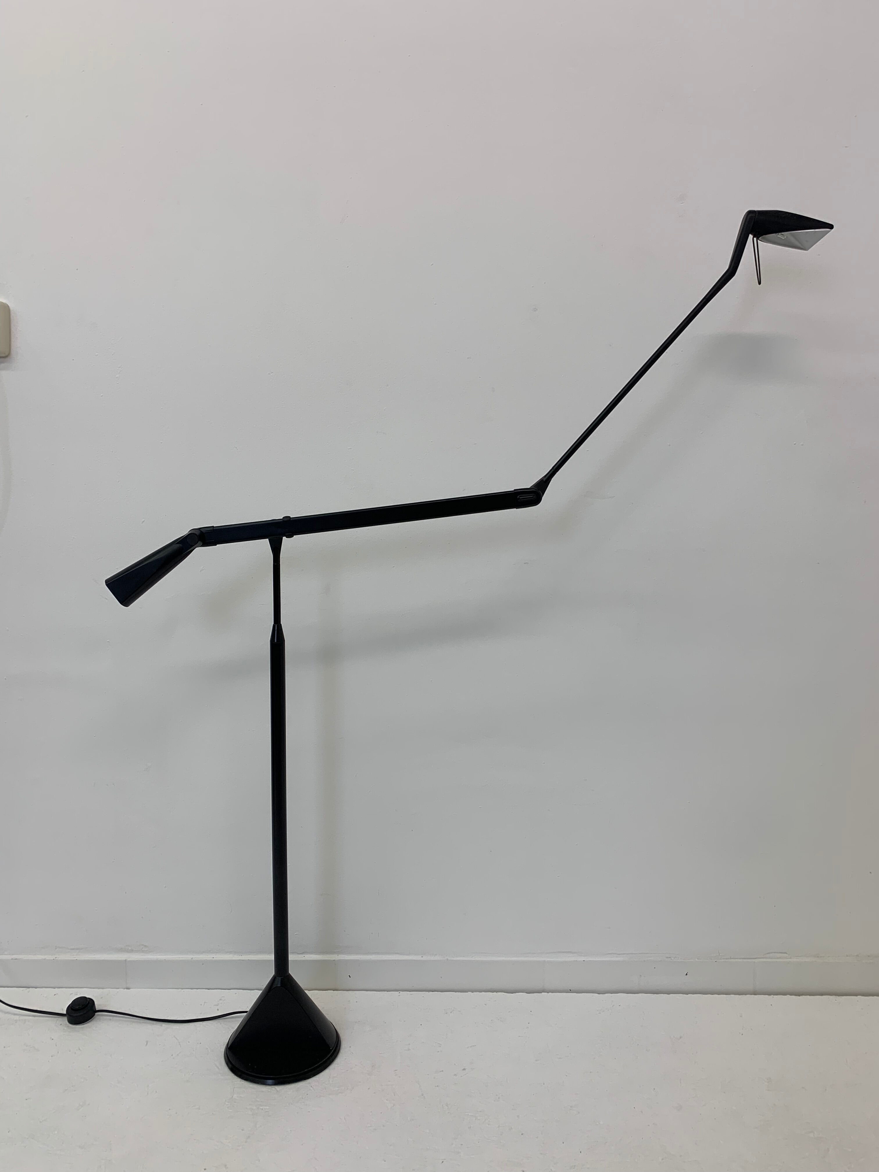 Zelig Terra Floor Lamp by Walter Monici for Lumina, 1980s