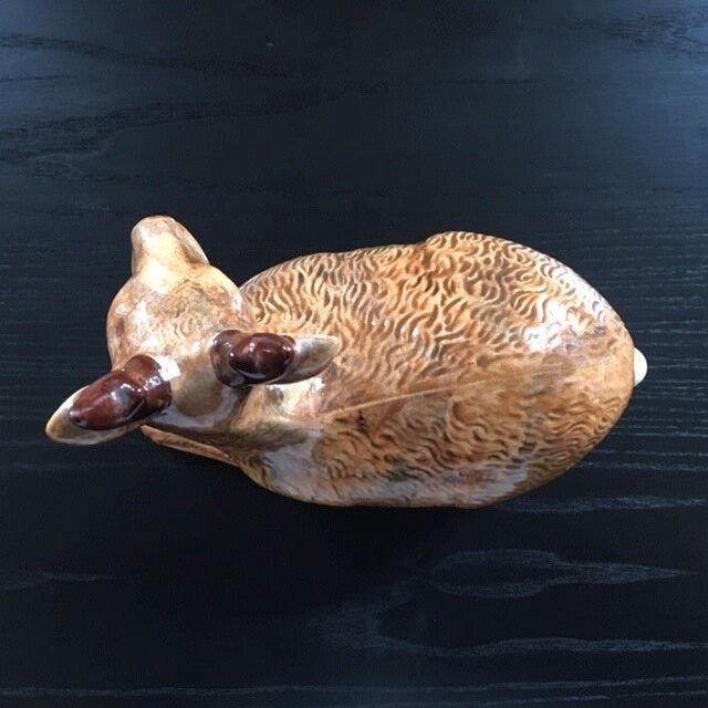 Empty pocket deer in dabbling