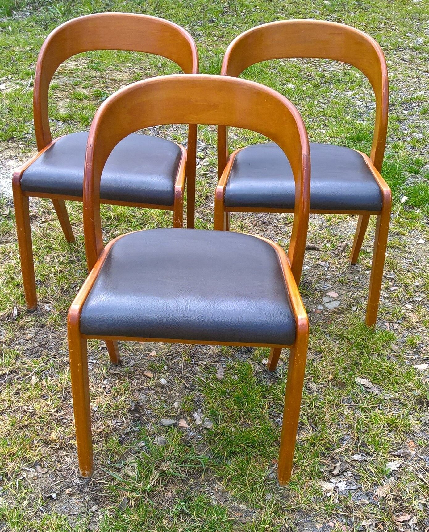 Baumann chairs in leatherette
