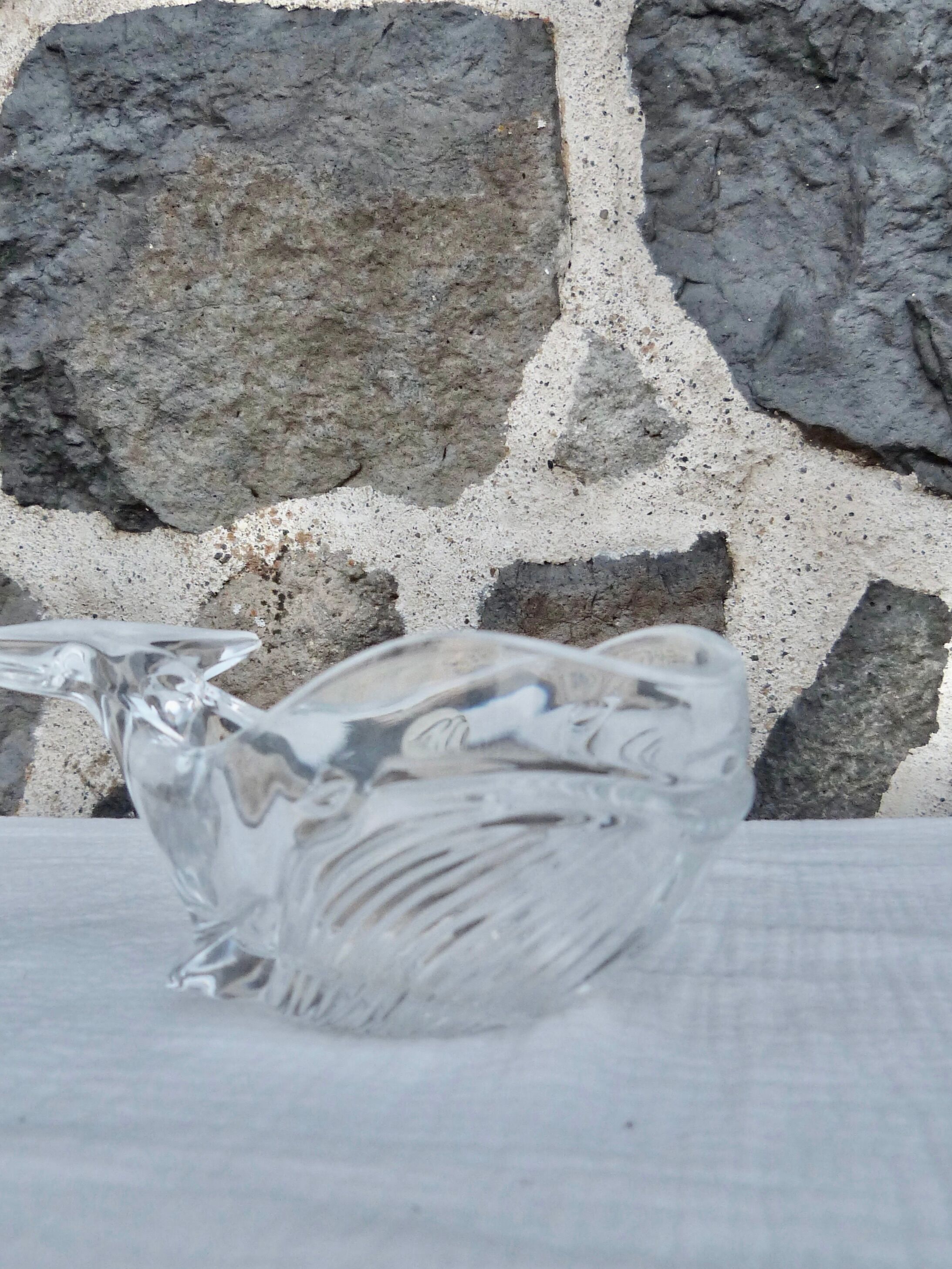 Empty whale pocket in Arques crystal
