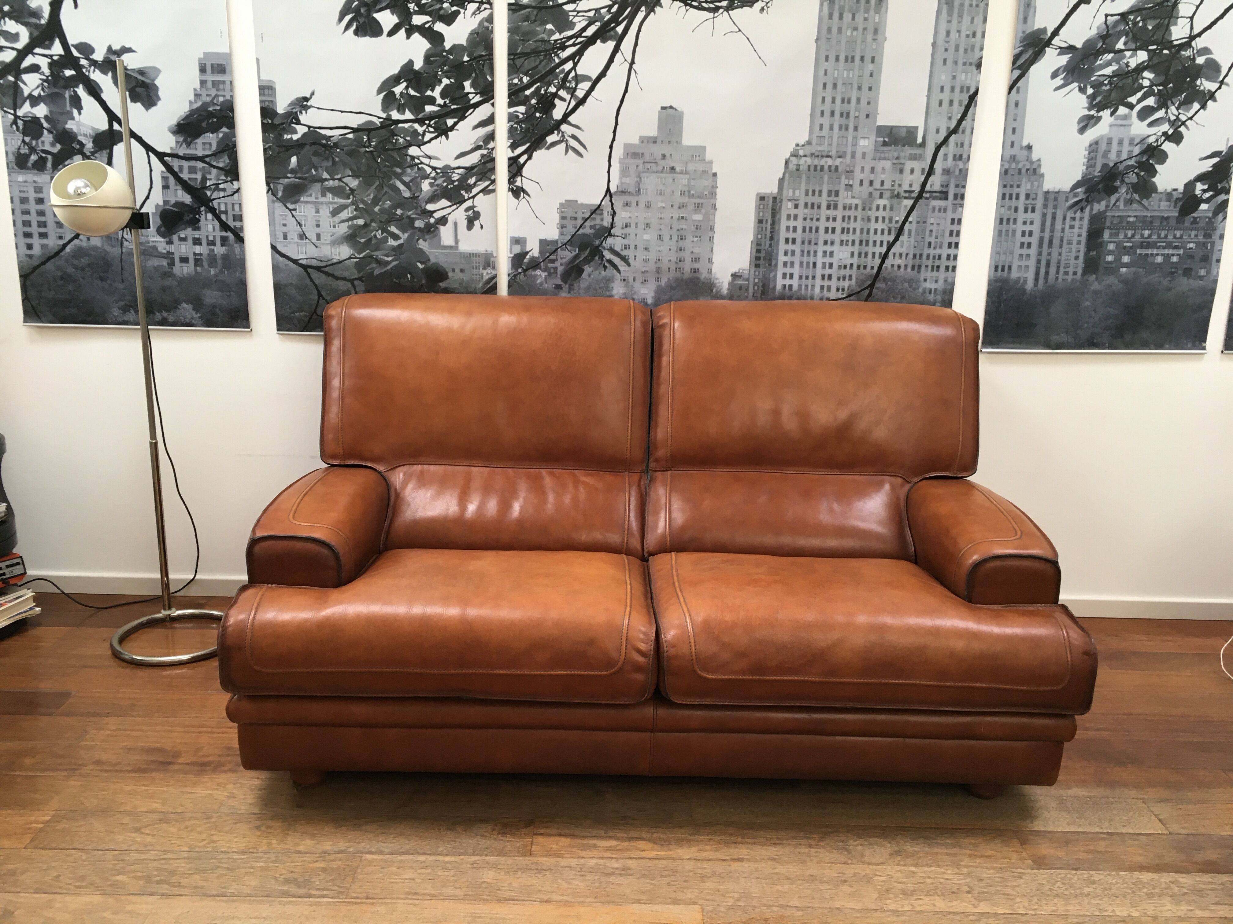 Sofa Roche Bobois