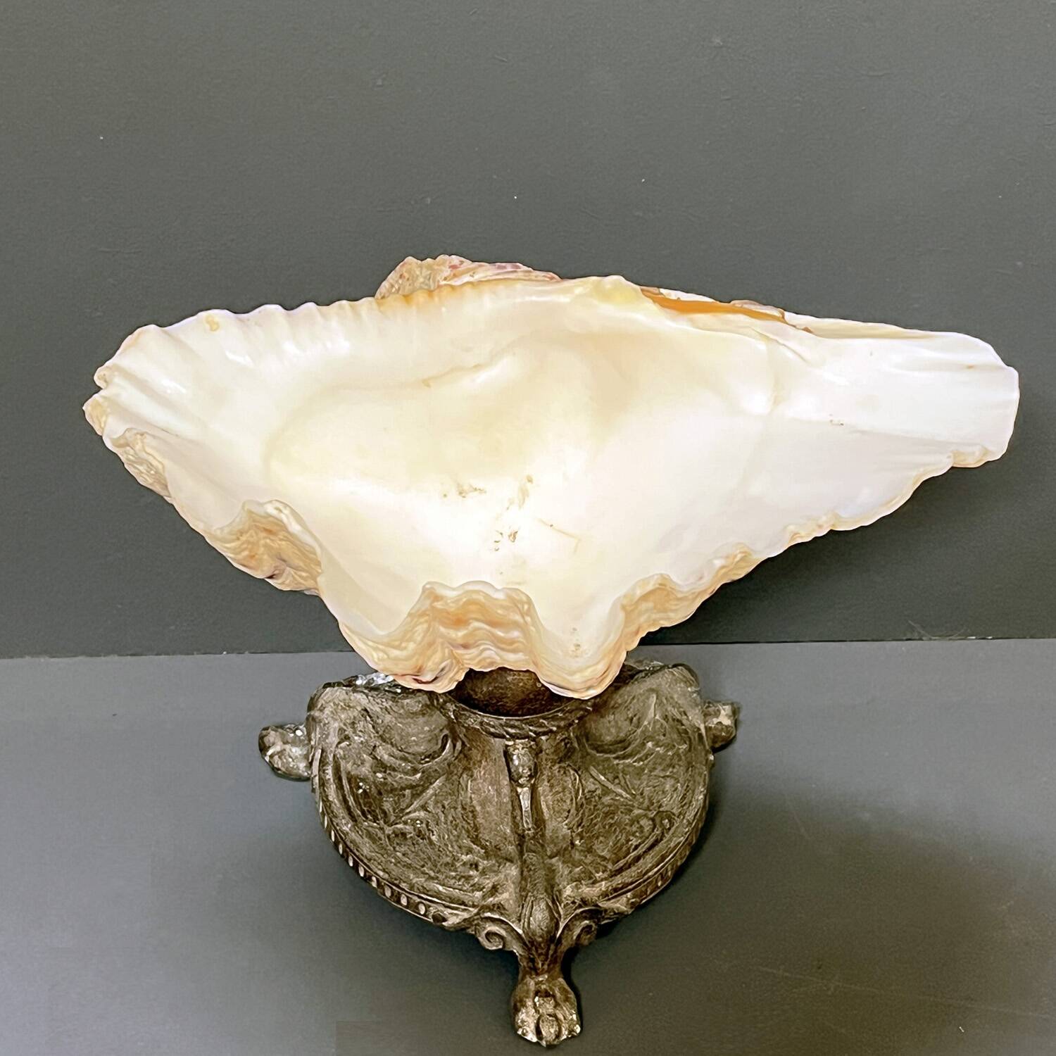 Shell-shaped catchall on a base