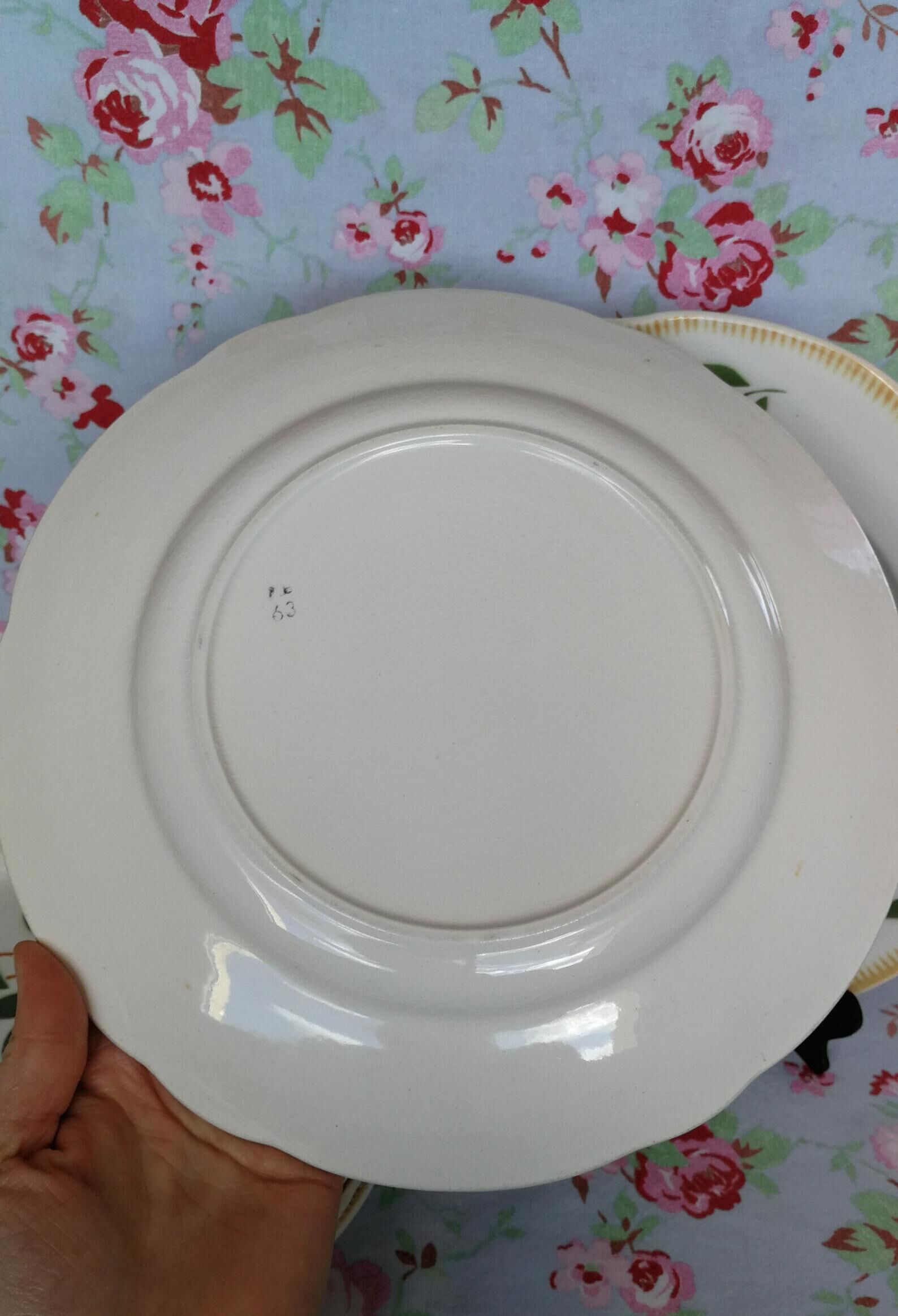 6 Badonviller Old Plate Plates - Orange and Green Flowers