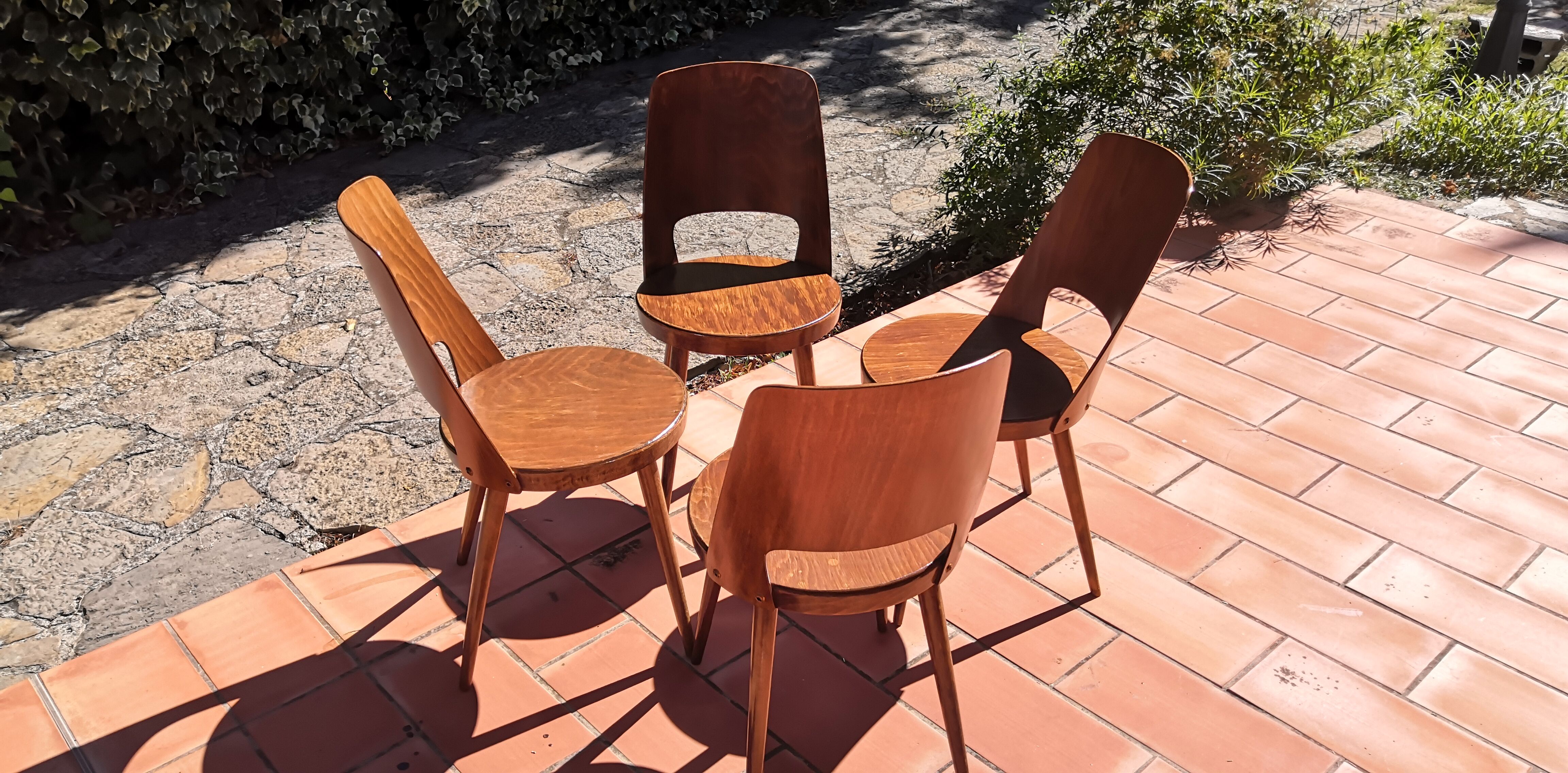 Vintage baumann mondor chairs 60