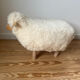 Mouton
