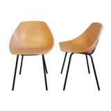 Shell chair by Pierre Guariche