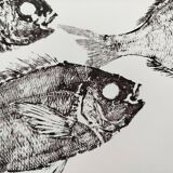 Framed art print, "Print of a school of sea bream" (gyotaku)