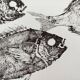 Framed art print, "Print of a school of bream" (gyotaku)