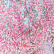 Affiche Damien Hirst