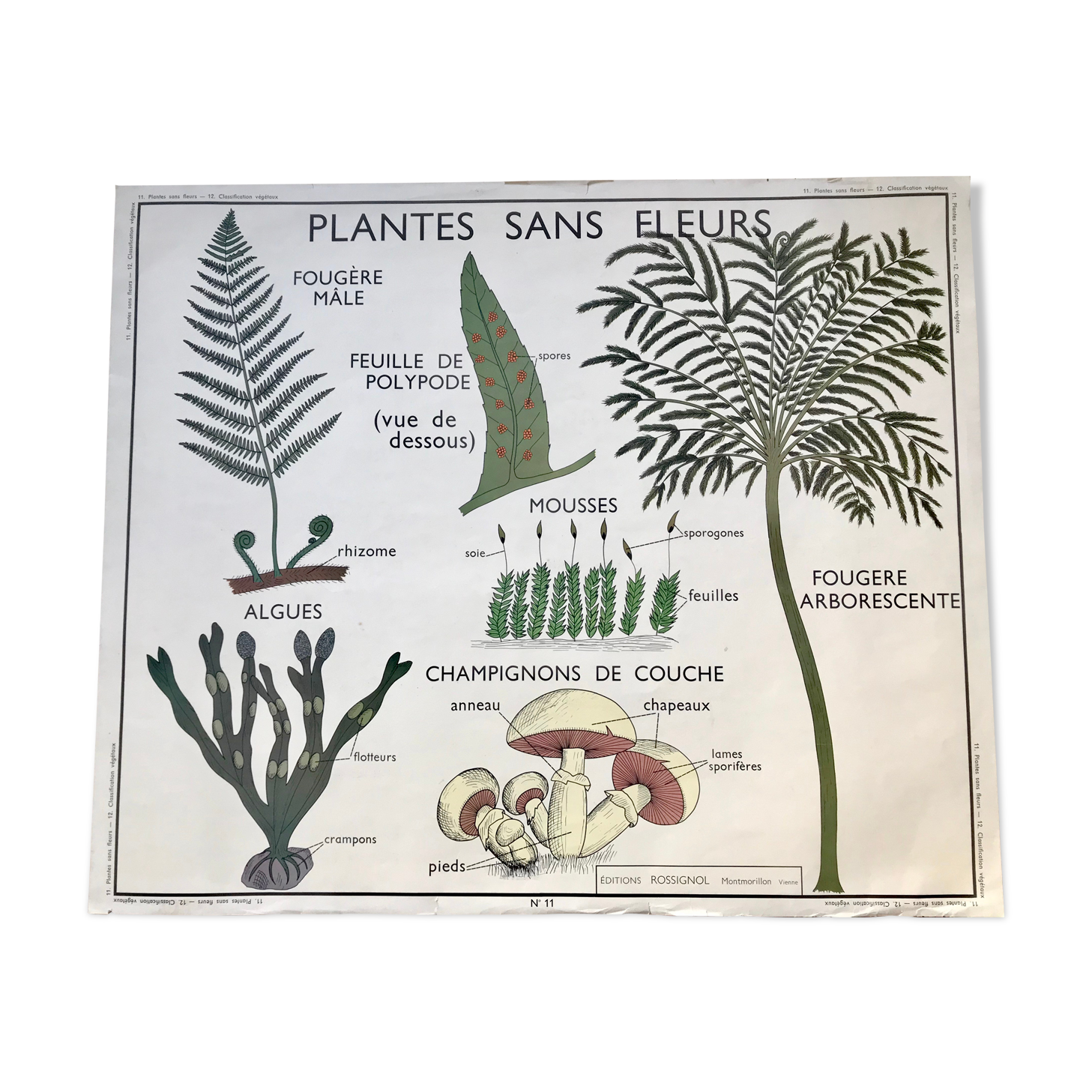 Rossignol pedagogical poster