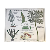 Rossignol pedagogical poster