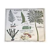 Rossignol pedagogical poster