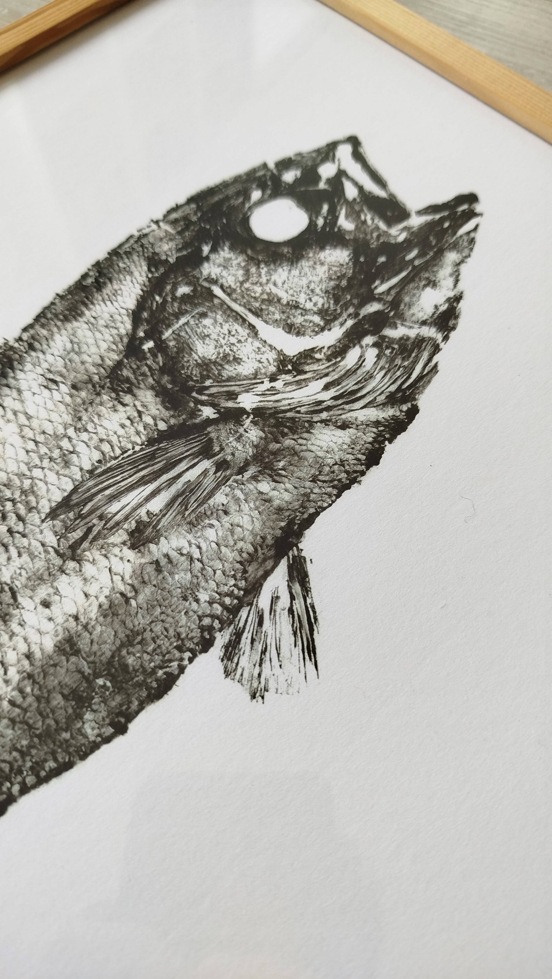 Framed art print, "Print of a bar" (gyotaku)