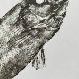 Framed art print, "Print of a bar" (gyotaku)