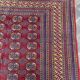Handmade bukhara oriental carpet 270 x 160 cm