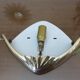 Wall lamp " shell " Art Deco brass and frosted glass 70s