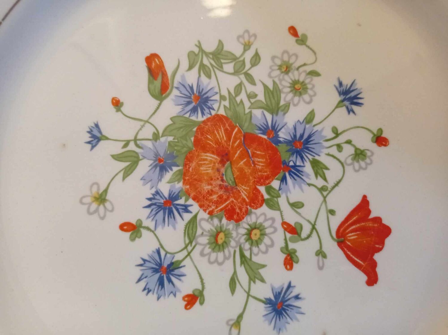 Assiettes plates Digoin Sarreguemines