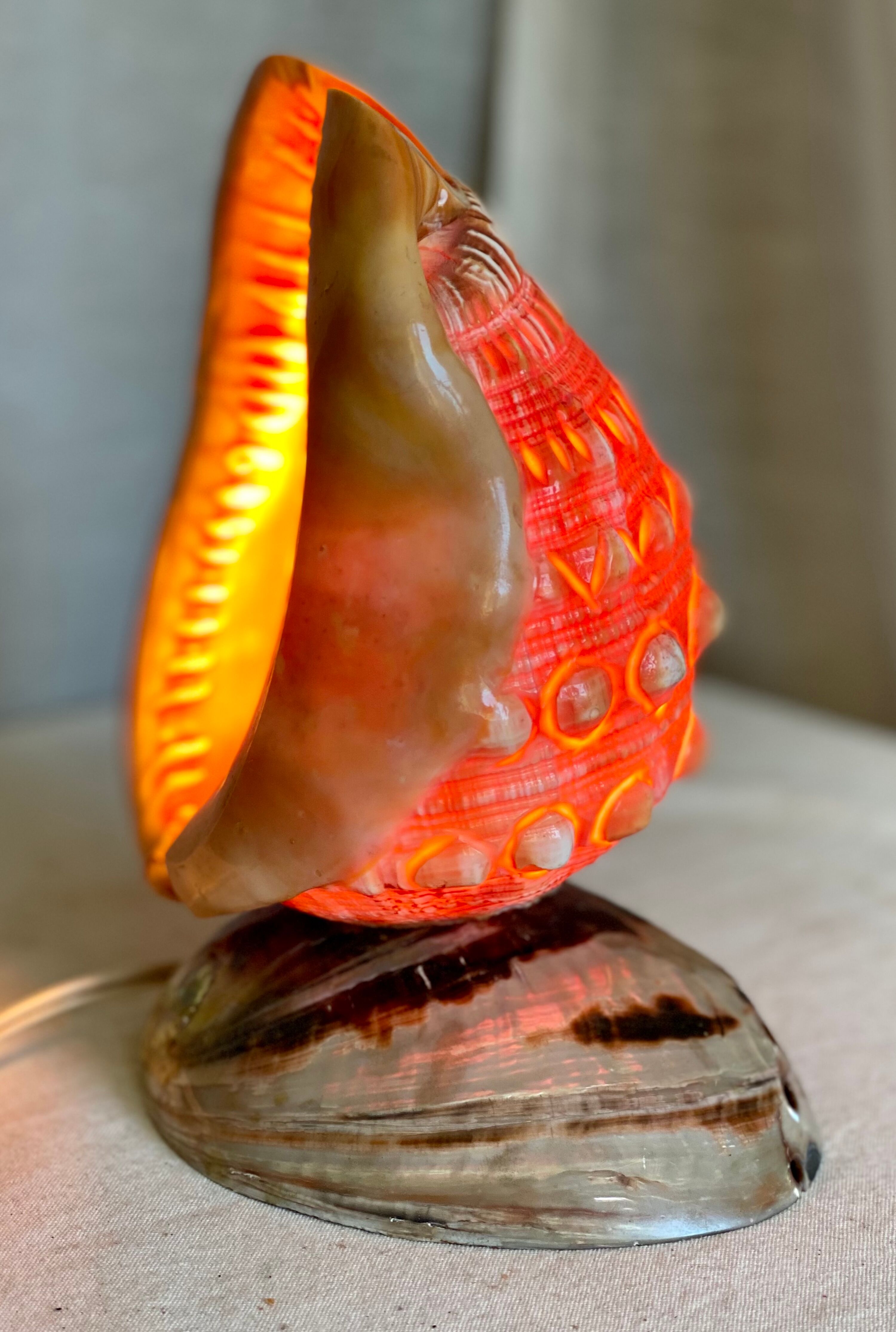 Vintage 1960s shell night light