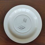 8 semi-deep plates Salins Opaceline 702