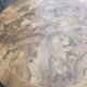 Round burr walnut coffee table