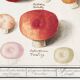 Small poster about mushrooms, based on an old engraving from 1610.
