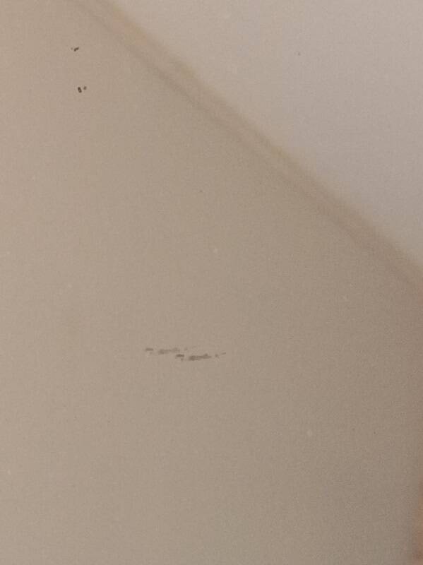 Mirror Bamboo type patinated wood frame dp 1023413