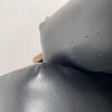 Zelda Sofa attributed to Sergio Asti for Poltrona, Italy, 1962