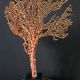 Gorgone Rouge XXL Wooden Base. H: 40 cm | Curiosity Decorative Object