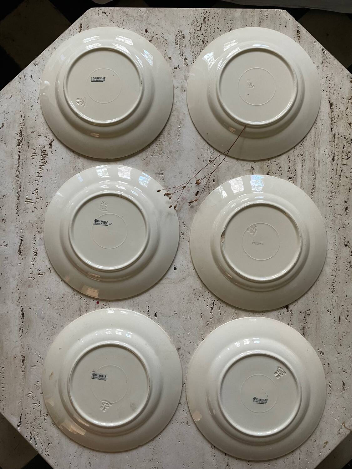 6 Belleville Longchamp old iron earth flat plates