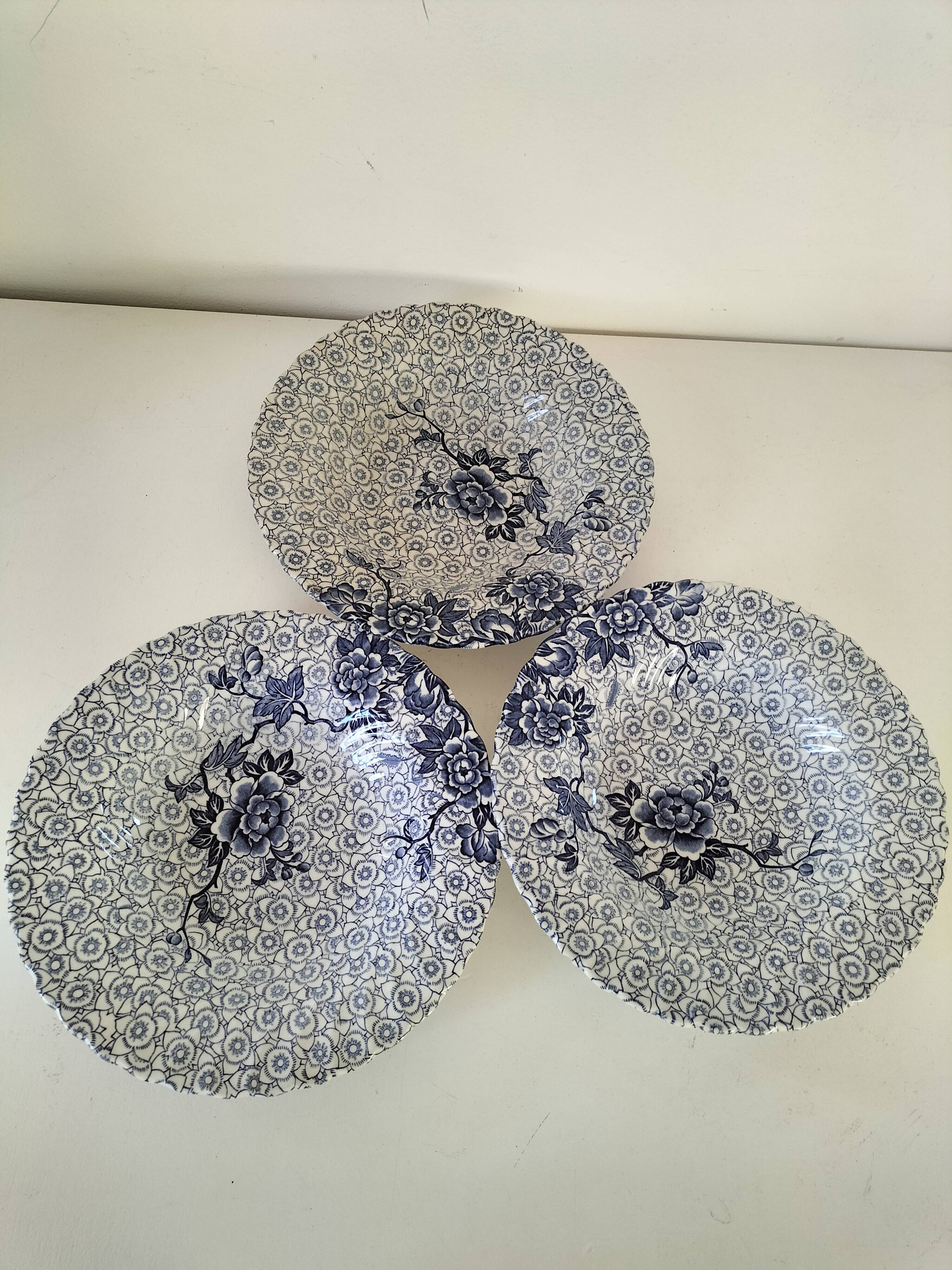 9 Johnson Brothers plates in the Lotus pattern.