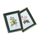 Pair ge lithographs after Redouté