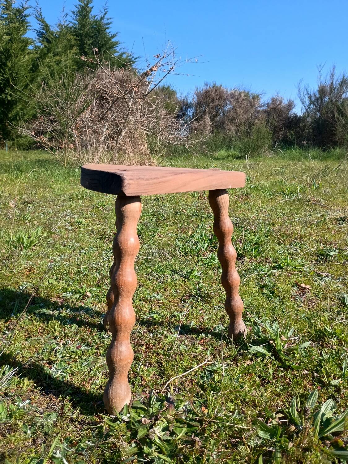 Milking stool