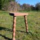 Milking stool