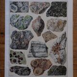 Original lithograph on rocks